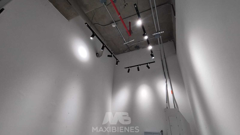 61948_1_1766253467_2